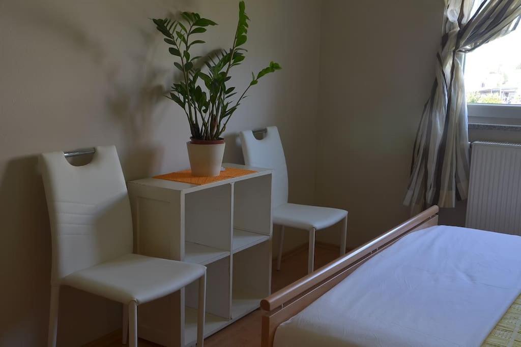 Apartman Ana Pula - Calm, Free Parking, Close To Center מראה חיצוני תמונה